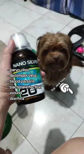 Post 3 by JZone PH on TikTok (video)
