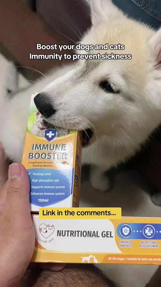 Post 6 by JZone PH on TikTok (video)