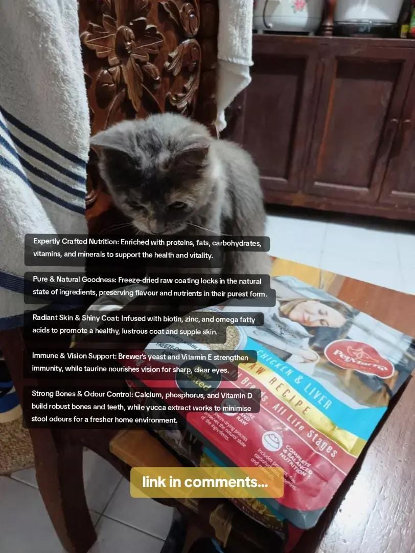 Post 5 by JZone PH on TikTok (video)