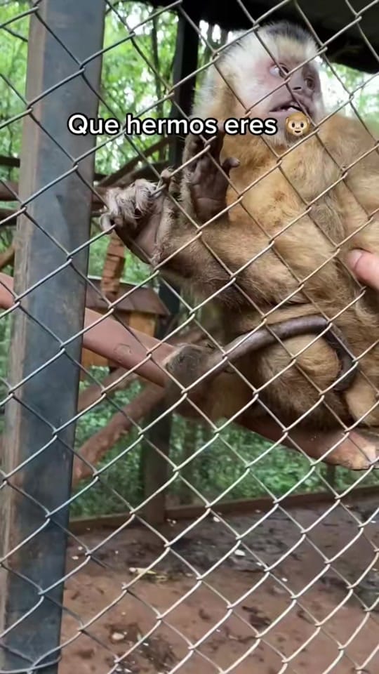 Post 6 by Darik Riber on TikTok (video)