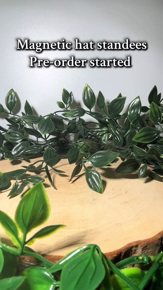 Post 6 by 🪴FYNN🪴 on TikTok (video)