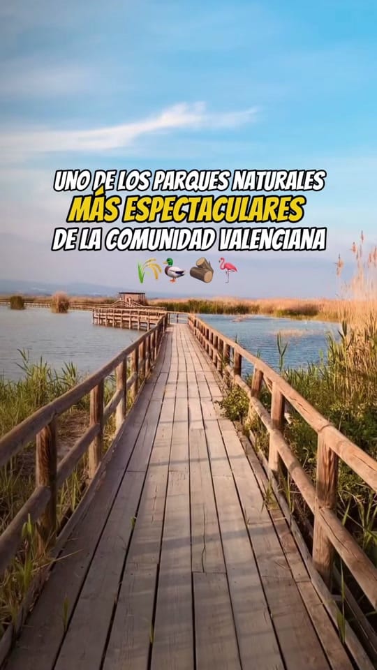 Post 2 by RUBÉN GARCÍA on TikTok (video)