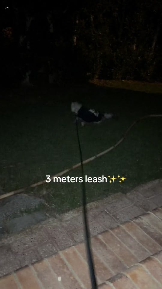 Post 1 by LeoFect on TikTok (video)