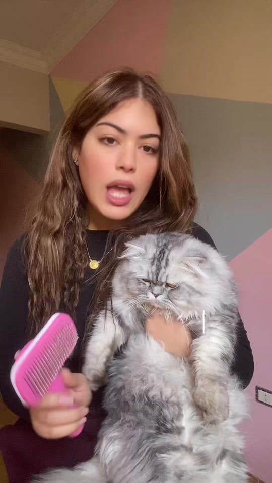 Post 8 by LeoFect on TikTok (video)