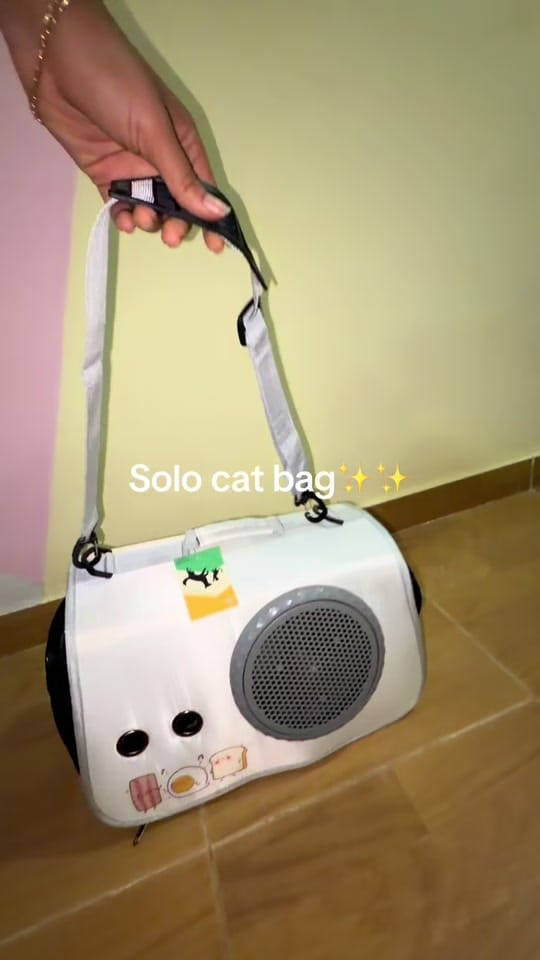 Post 2 by LeoFect on TikTok (video)