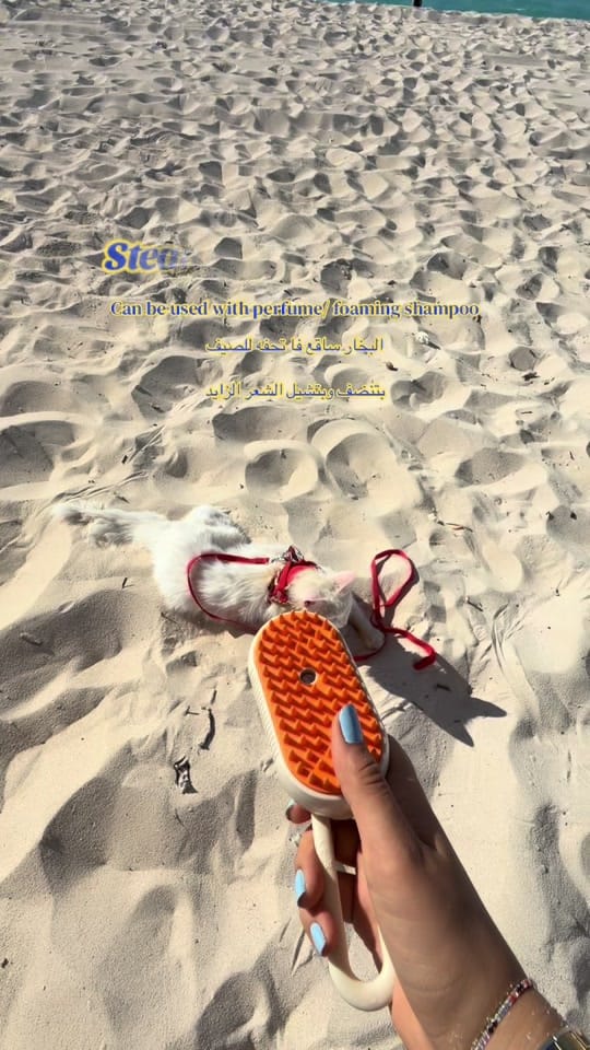 Post 5 by LeoFect on TikTok (video)
