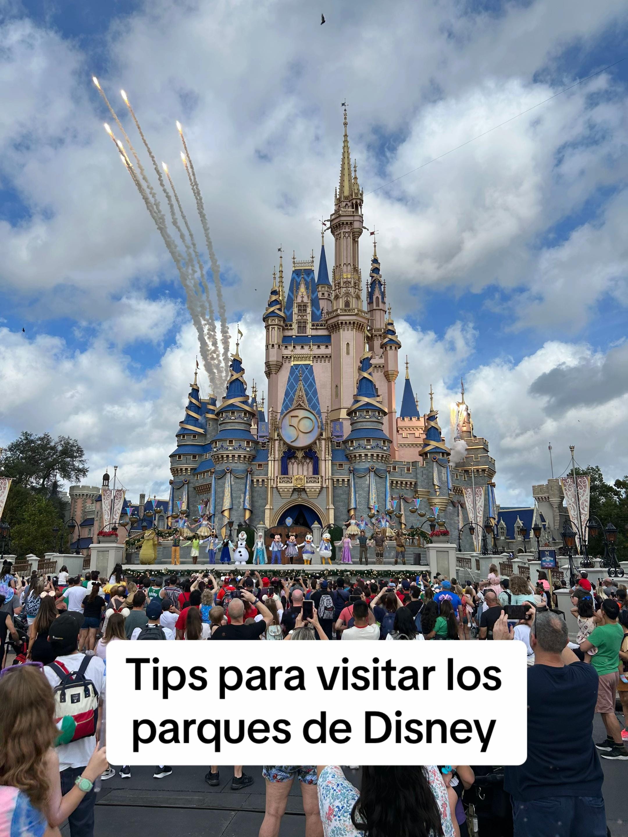 Post 9 by Armando Fonseca on TikTok (video)