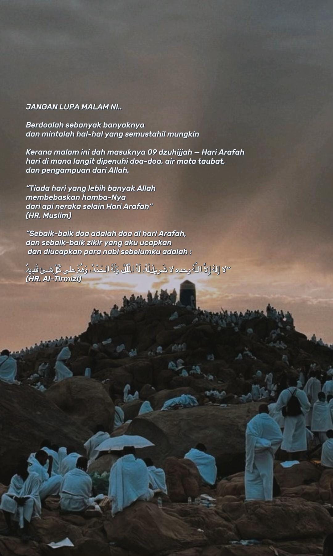 Post 4 by andalusiapuchong on TikTok (video)
