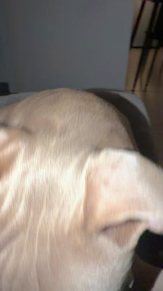 Post 6 by kaliachristofi on TikTok (video)