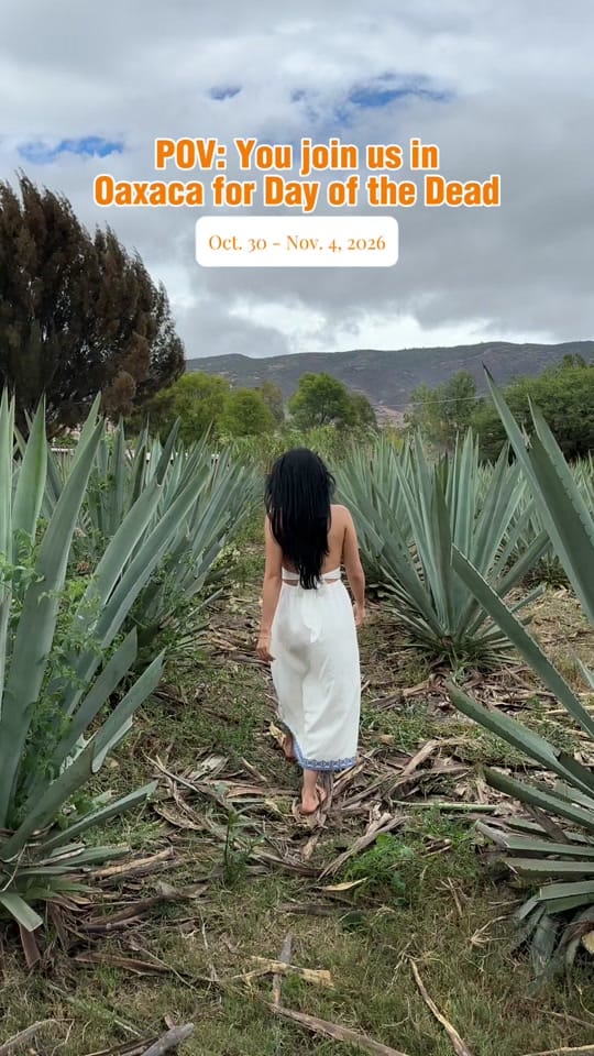 Post 4 by Rocio - Group Trips on TikTok (video)