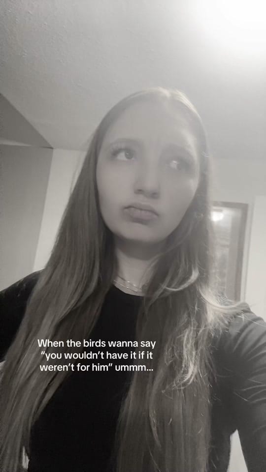 Post 7 by Shay Hartline on TikTok (video)