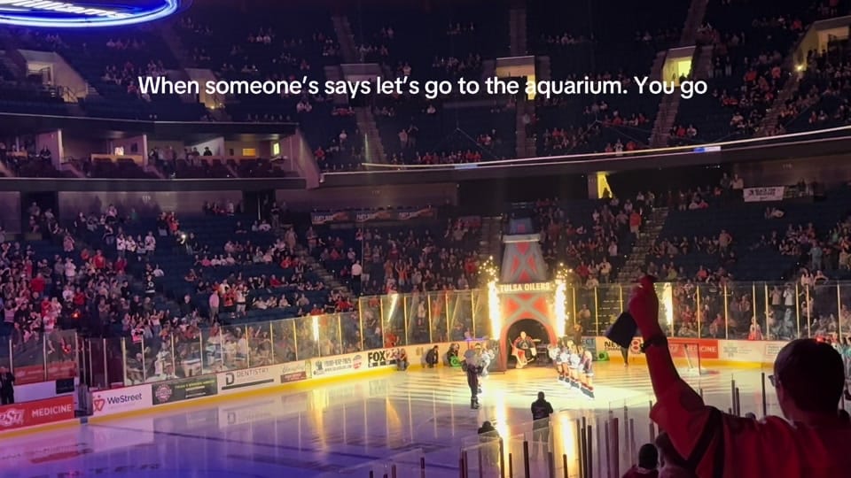 Post 3 by Shay Hartline on TikTok (video)
