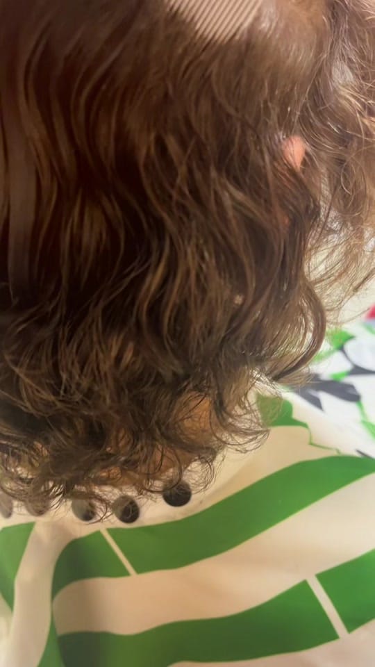 Post 10 by LCASWLA on TikTok (video)