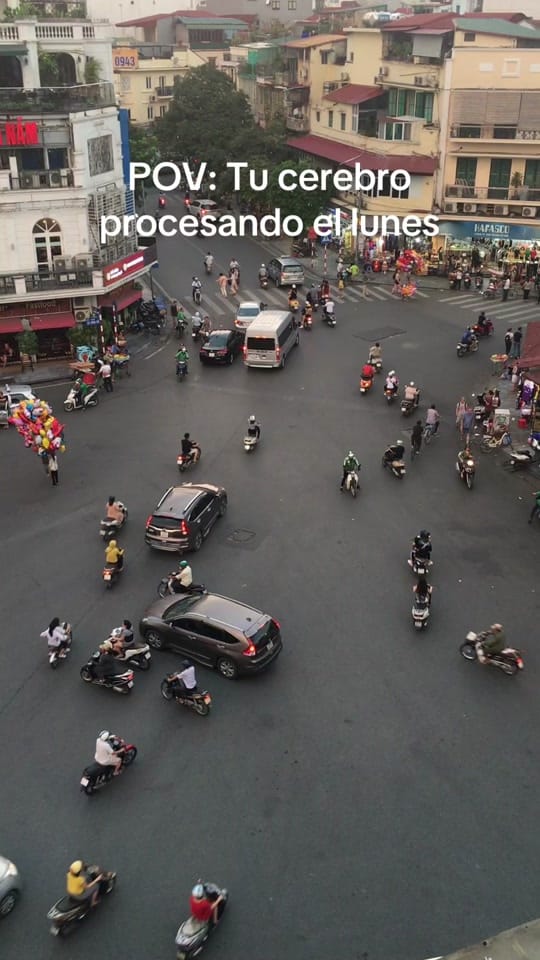 Post 3 by lasaintgeorge 🐲 on TikTok (video)