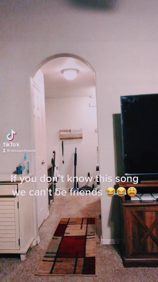 Post 7 by Nessaistheone on TikTok (video)