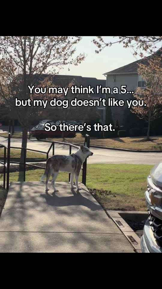 Post 8 by Ashley Elizabeth on TikTok (video)