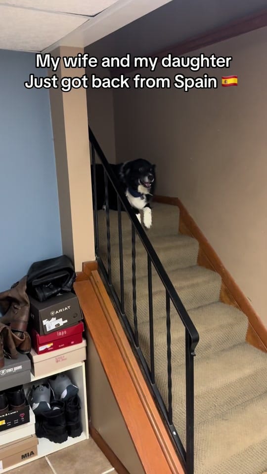 Post 1 by Señor Reyna on TikTok (video)