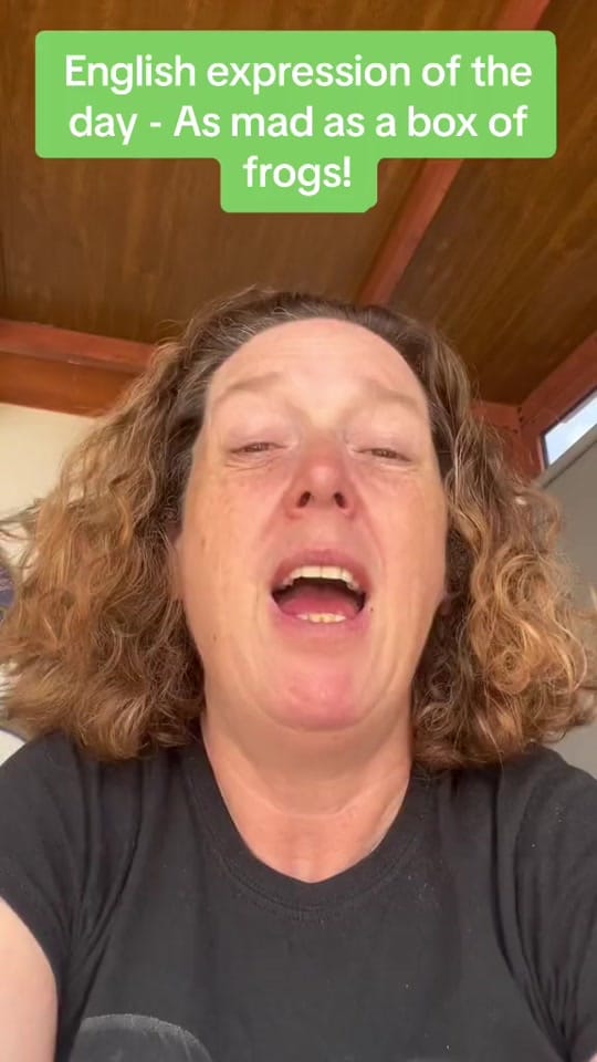 Post 4 by Isla Idiomas on TikTok (video)
