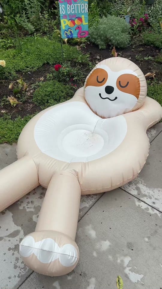 Post 1 by alongcameholly7 on TikTok (video)