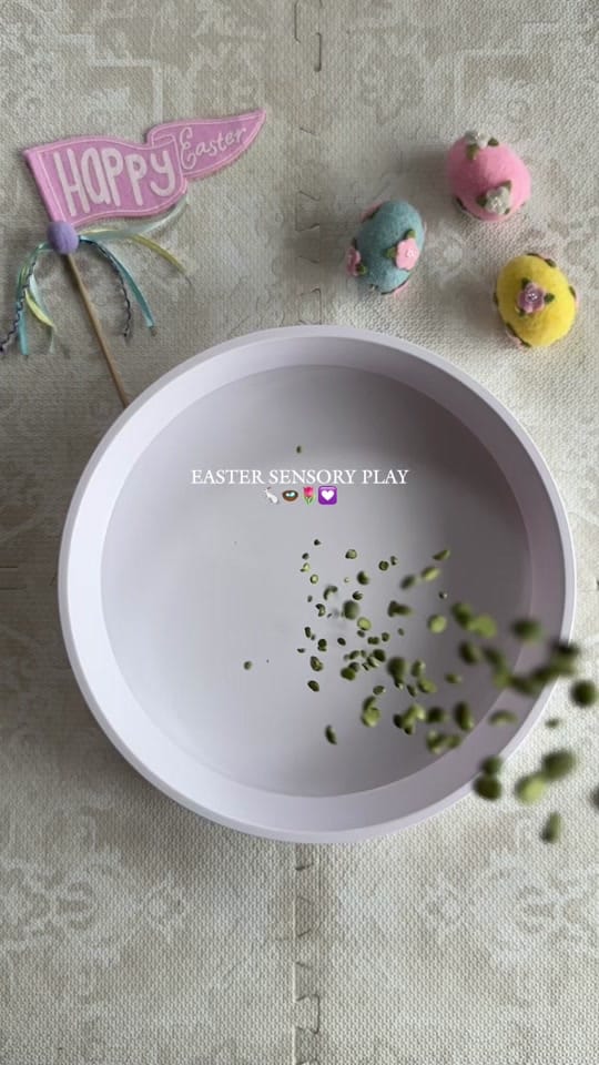 Post 8 by amandaragonese on TikTok (video)