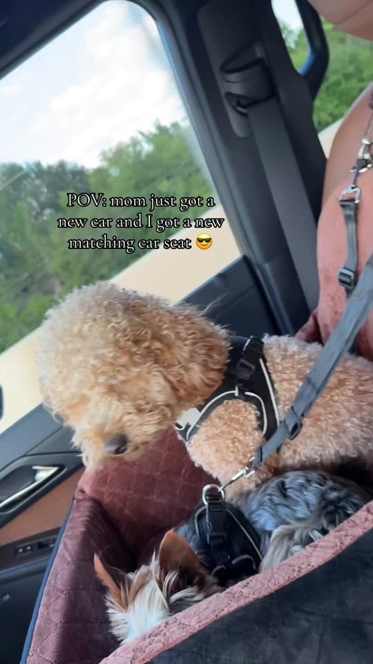 Post 1 by Kristin Reyes on TikTok (video)