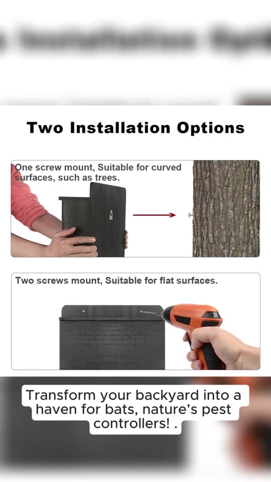 Post 3 by Convenience Crate on TikTok (video)