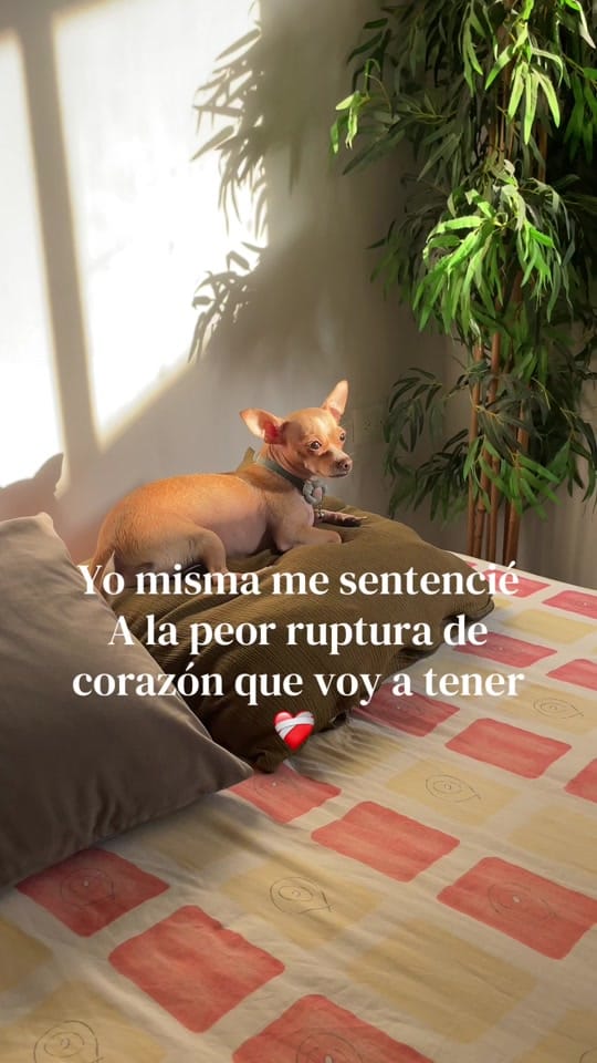 Post 2 by Cleaning with keii on TikTok (video)