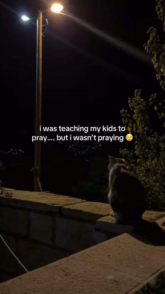 Post 5 by trendystopnshop on TikTok (video)