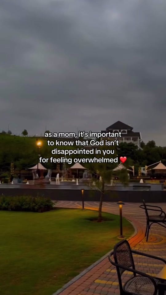 Post 6 by trendystopnshop on TikTok (video)