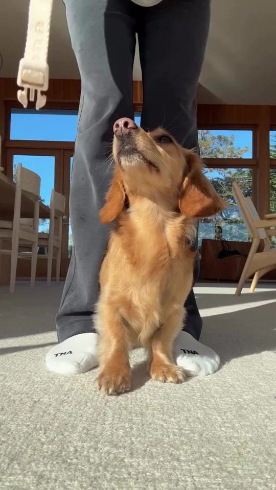 Post 7 by maxbone on TikTok (video)