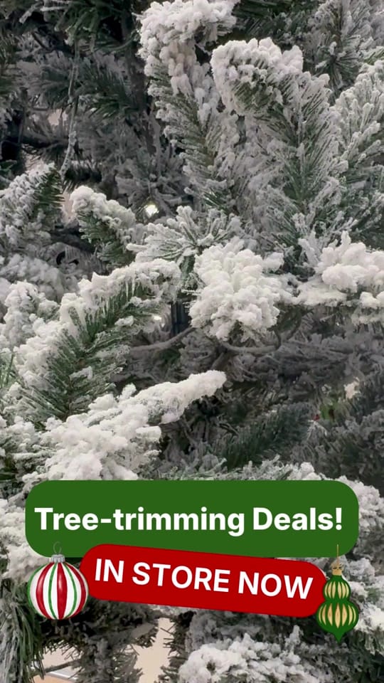 Post 6 by Gabe’s on TikTok (video)