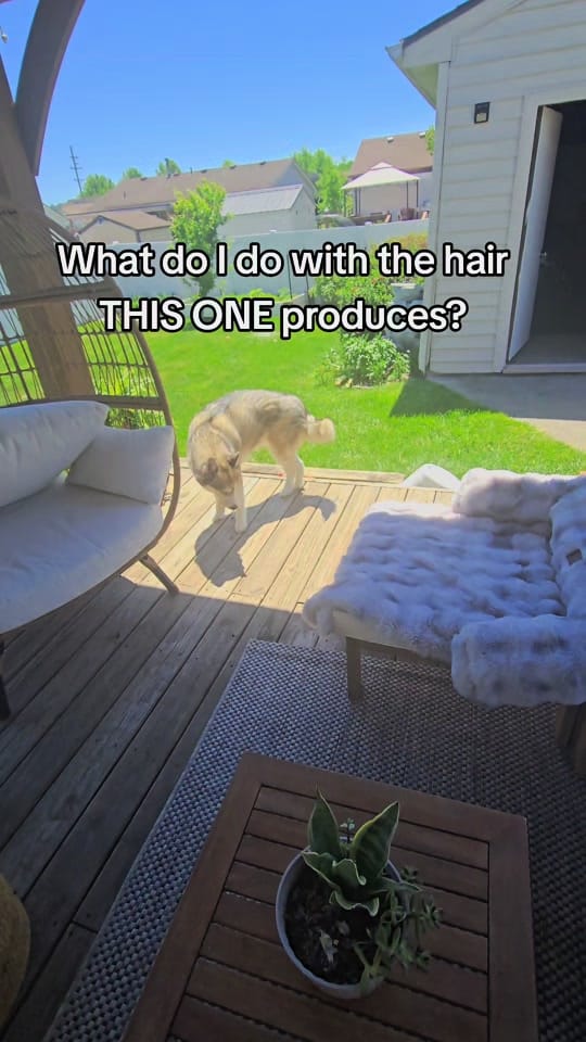 Post 5 by Proof on TikTok (video)