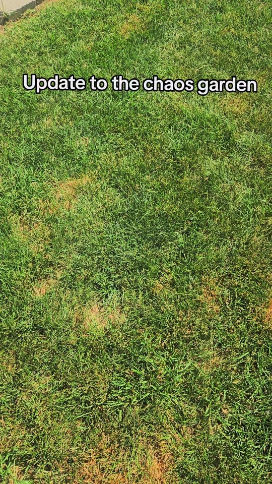 Post 3 by Proof on TikTok (video)