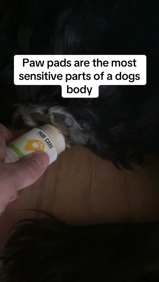 Post 9 by Sam Putnam on TikTok (video)