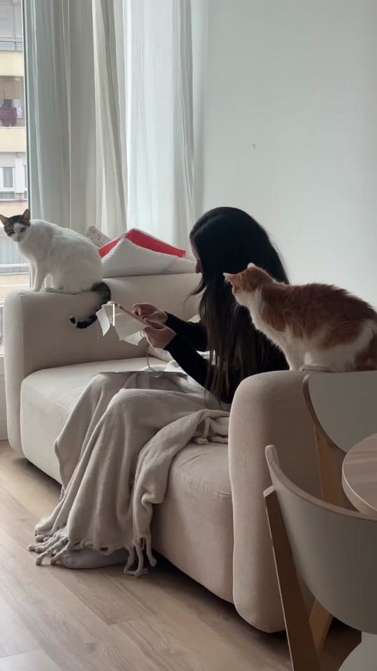 Post 2 by By Maf on TikTok (video)