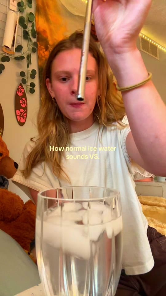 Post 3 by Bethany Perona on TikTok (video)