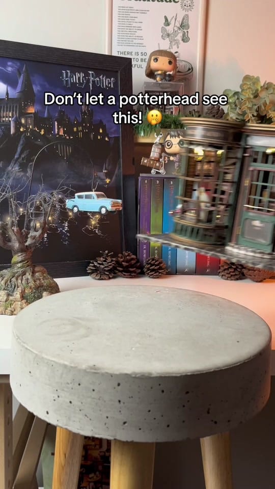 Post 9 by Nook’s Adventure on TikTok (video)