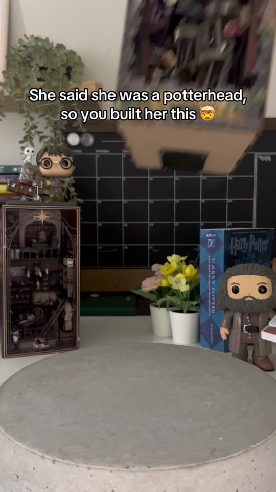 Post 8 by Nook’s Adventure on TikTok (video)