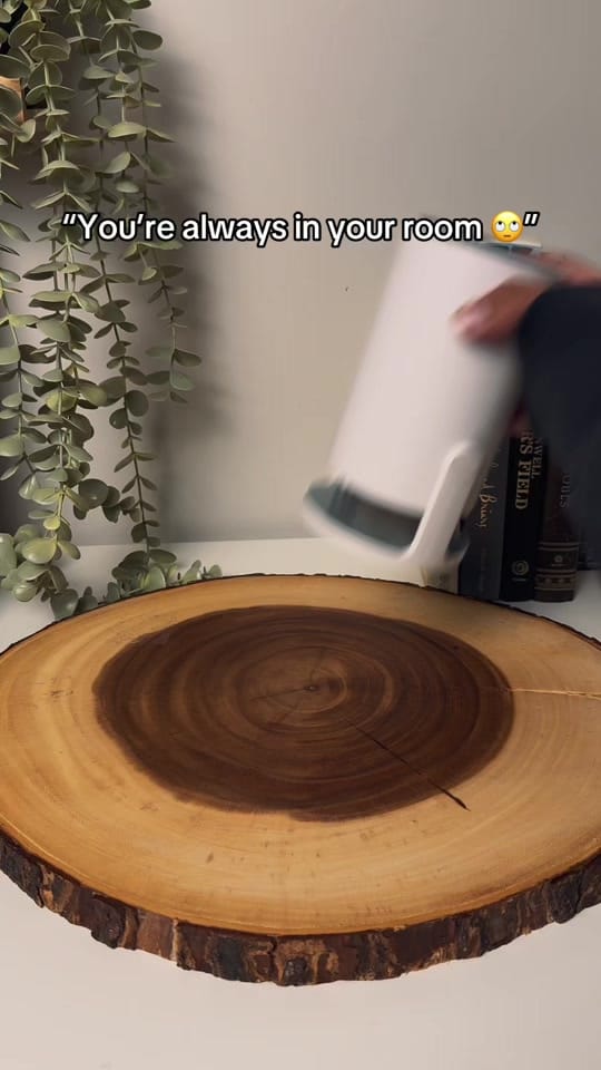 Post 1 by Nook’s Adventure on TikTok (video)