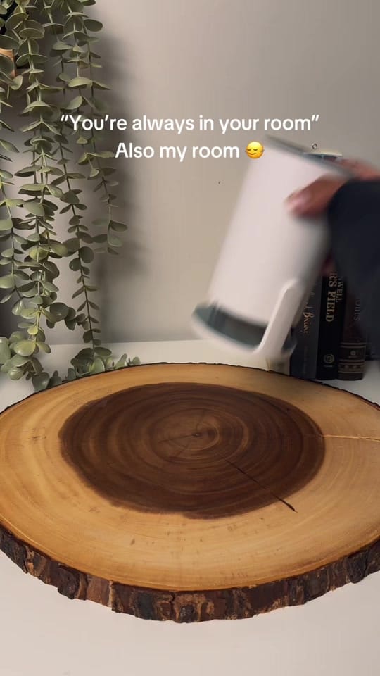 Post 6 by Nook’s Adventure on TikTok (video)