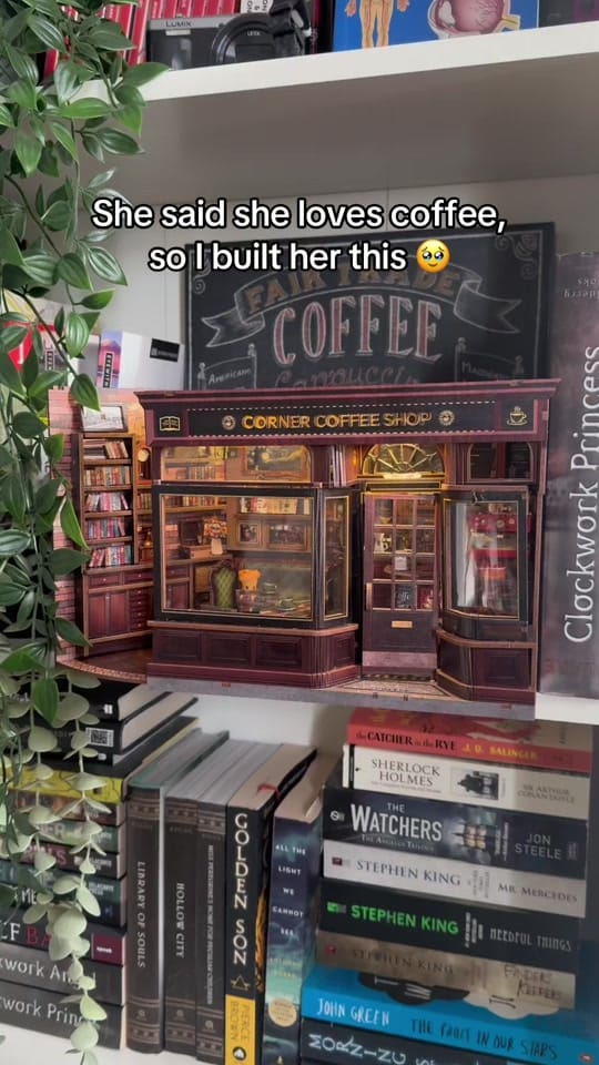 Post 7 by Nook’s Adventure on TikTok (video)
