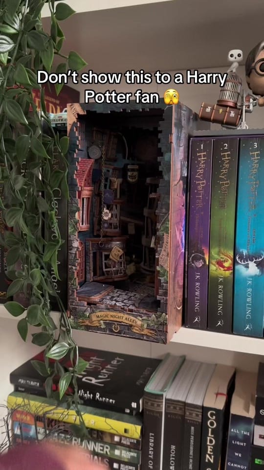 Post 4 by Nook’s Adventure on TikTok (video)