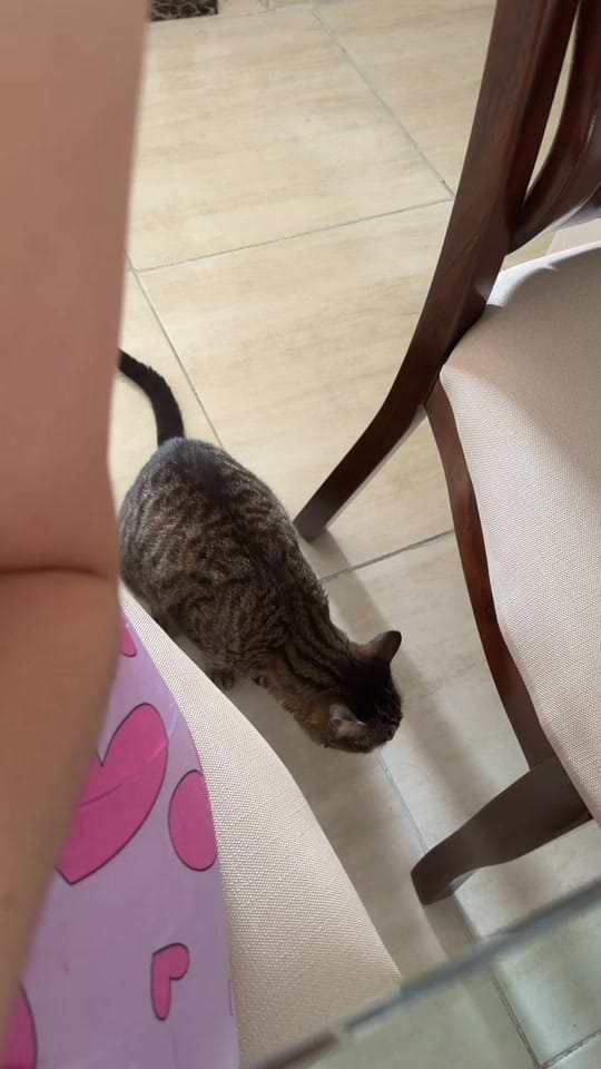 Post 6 by Valeria🪽 on TikTok (video)