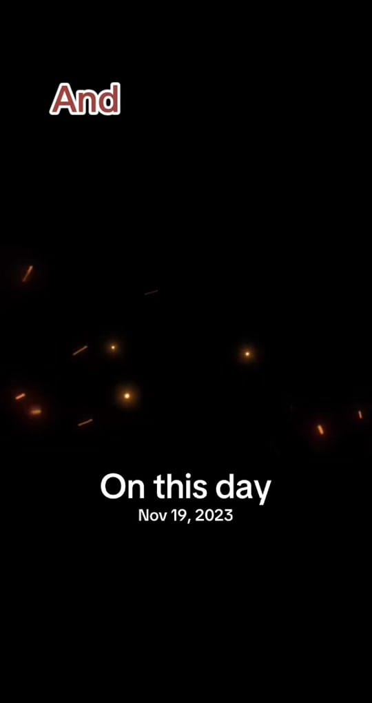 Post 4 by Howdy_yall13 on TikTok (video)