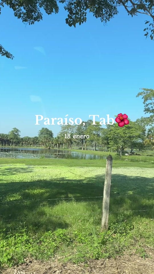 Post 9 by Frida- Paraíso 2026 🦀🌴🥥 on TikTok (video)