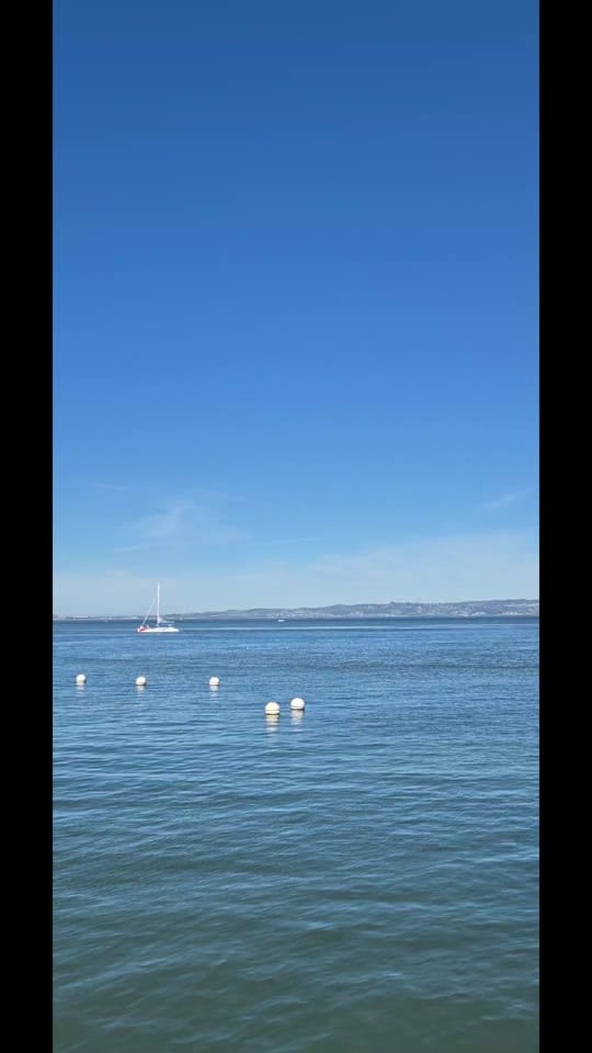 Post 3 by LisaLadybird🐞 on TikTok (video)