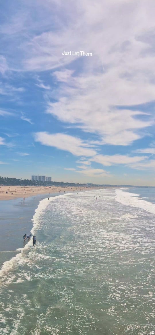 Post 6 by LisaLadybird🐞 on TikTok (video)