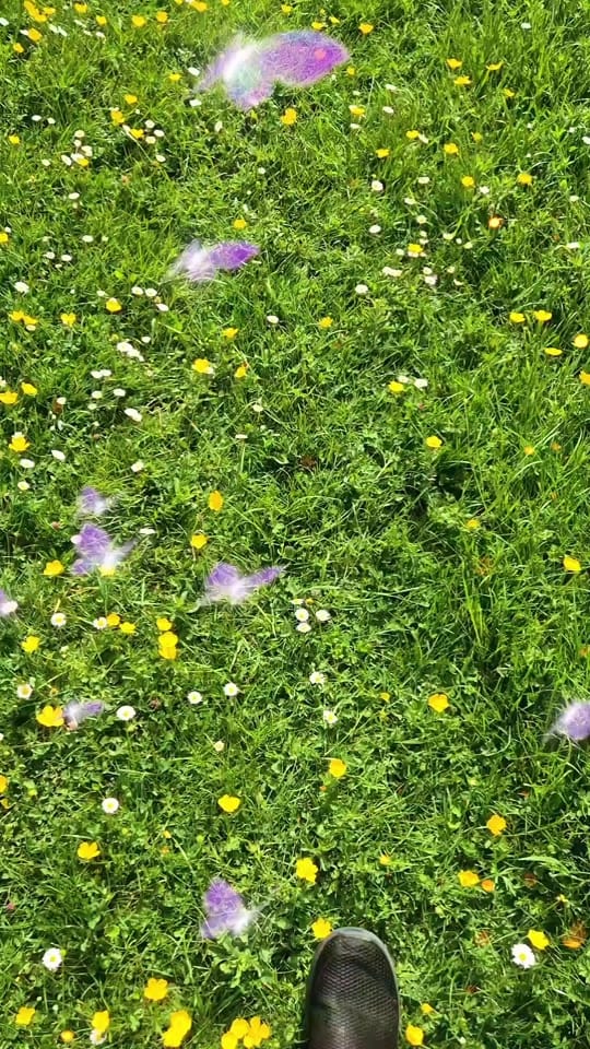 Post 8 by LisaLadybird🐞 on TikTok (video)