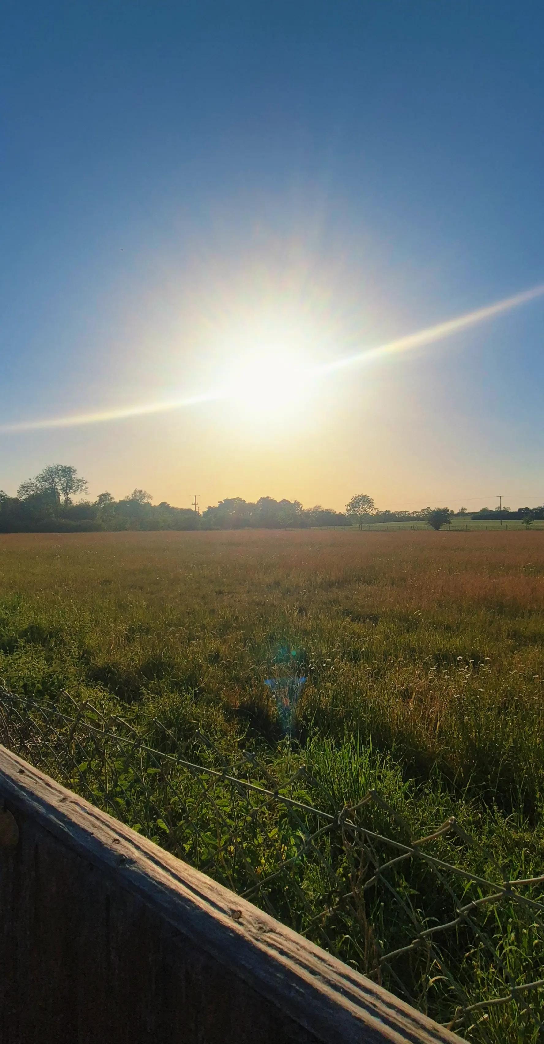 Post 9 by LisaLadybird🐞 on TikTok (video)