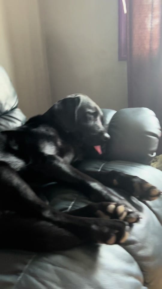 Post 10 by Miss Wiggle Butt🩷 on TikTok (video)
